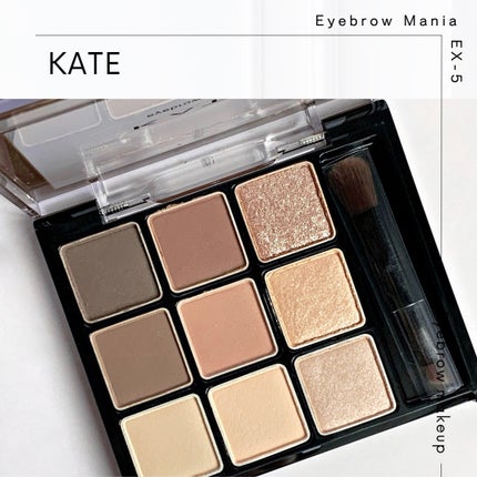 アイブロウマニア EX-5 ニュートラルブラウン系/KATE/パウダーアイブロウを使ったクチコミ(1枚目)