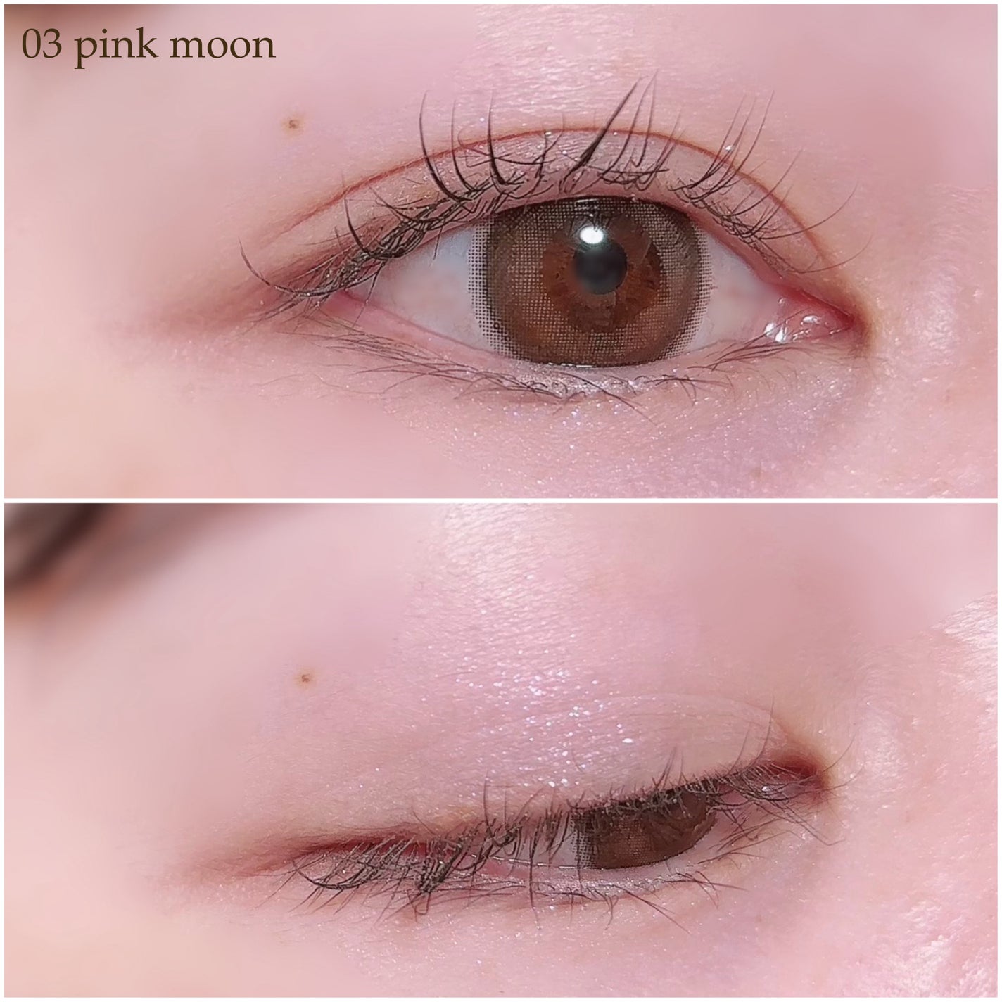 ムードブレンディングシャドウパレット/Coralhaze/アイシャドウパレットを使ったクチコミ(7枚目)