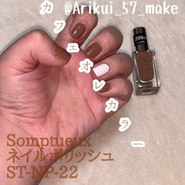 Somptueux(ソンプチュー) ネイルポリッシュ ST-NP-22/DAISO/マニキュアを使ったクチコミ（1枚目）