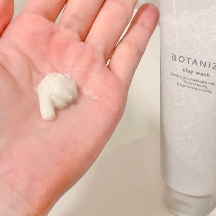 クレイウォッシュ/ボタニズム /洗顔フォームを使ったクチコミ(3枚目)