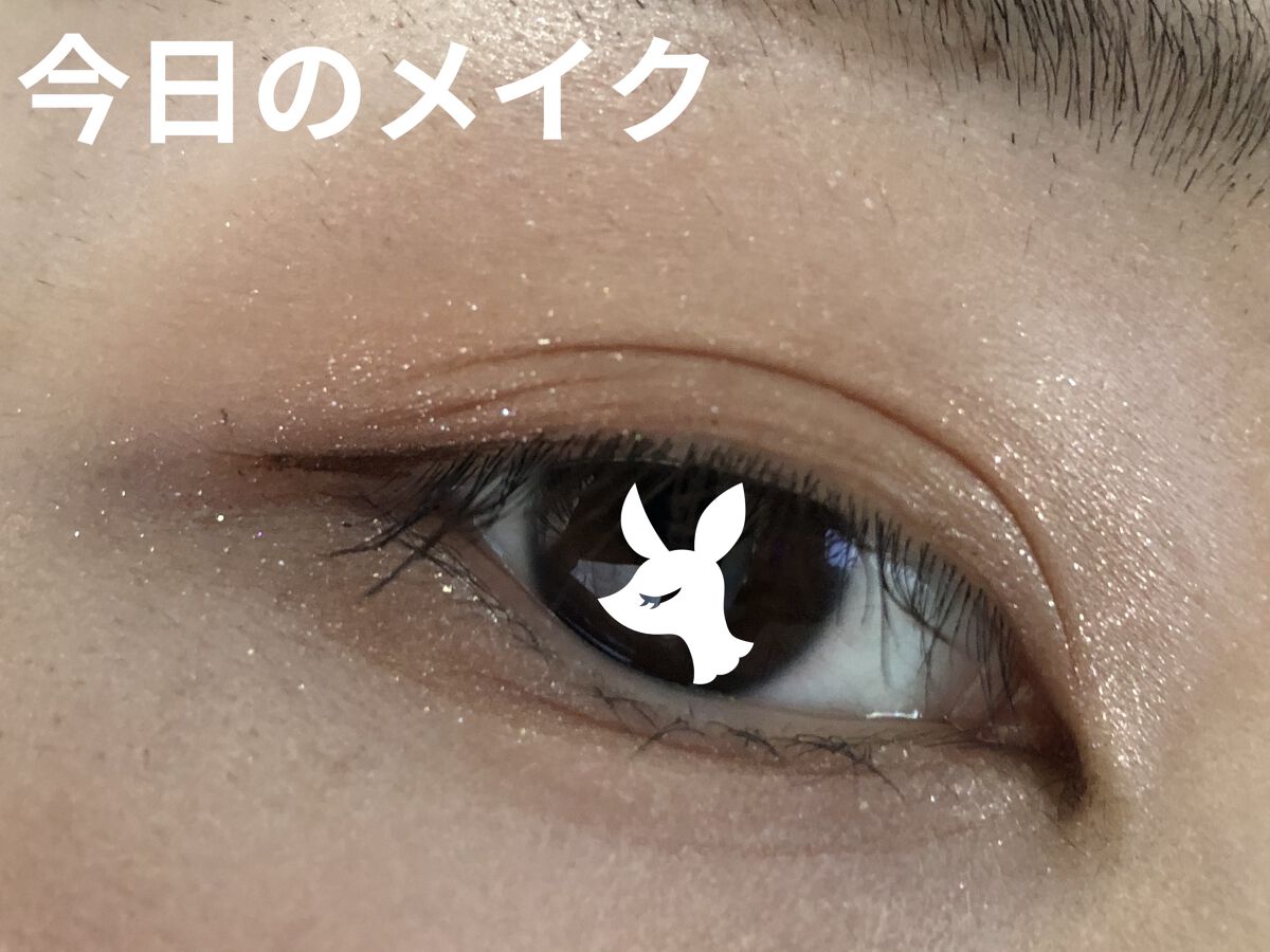 リシェ リキッド アイライナー BR300 ブラウン/Visée/リキッドアイライナーを使ったクチコミ（1枚目）