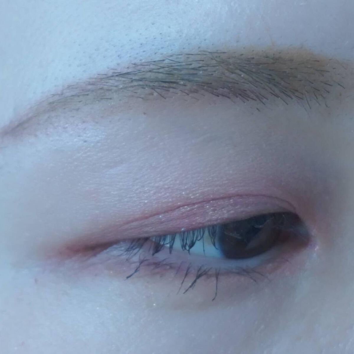 プロ アイ パレット/CLIO/アイシャドウパレットを使ったクチコミ(5枚目)