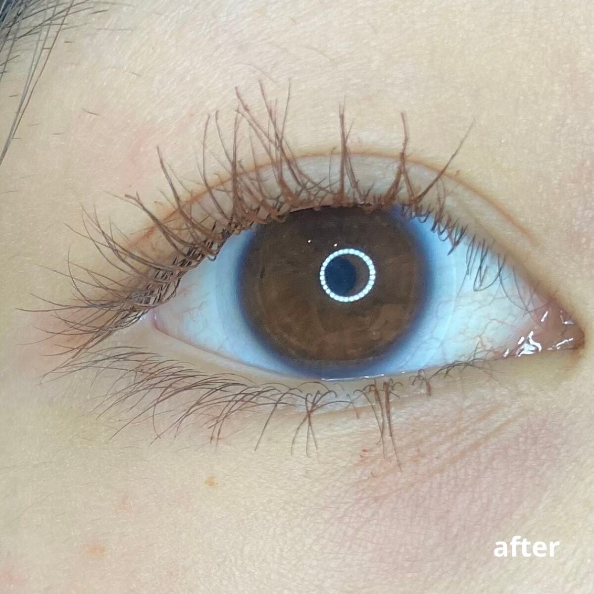 スカイハイ/MAYBELLINE NEW YORK/マスカラを使ったクチコミ(6枚目)