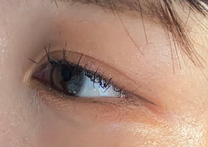 シグニチャー カラー アイズ/SUQQU/アイシャドウパレットを使ったクチコミ(2枚目)