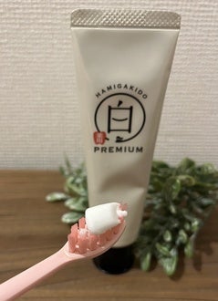 歯磨き堂 薬用ホワイトニングペースト プレミアム/歯磨き堂/歯磨き粉を使ったクチコミ(2枚目)