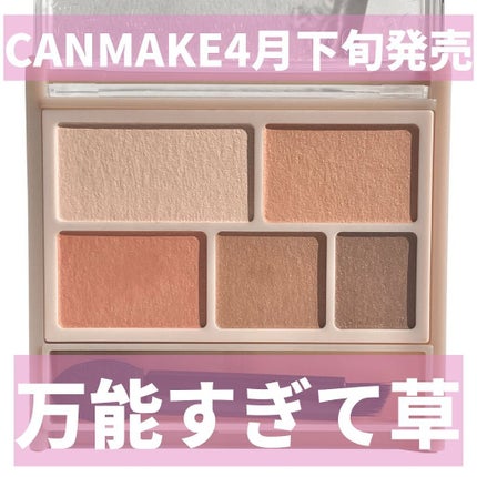 パーフェクトマルチアイズ/キャンメイク/アイシャドウパレットを使ったクチコミ(1枚目)