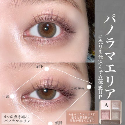 パノラマデザイン アイパレット/Visée/アイシャドウパレットを使ったクチコミ(5枚目)