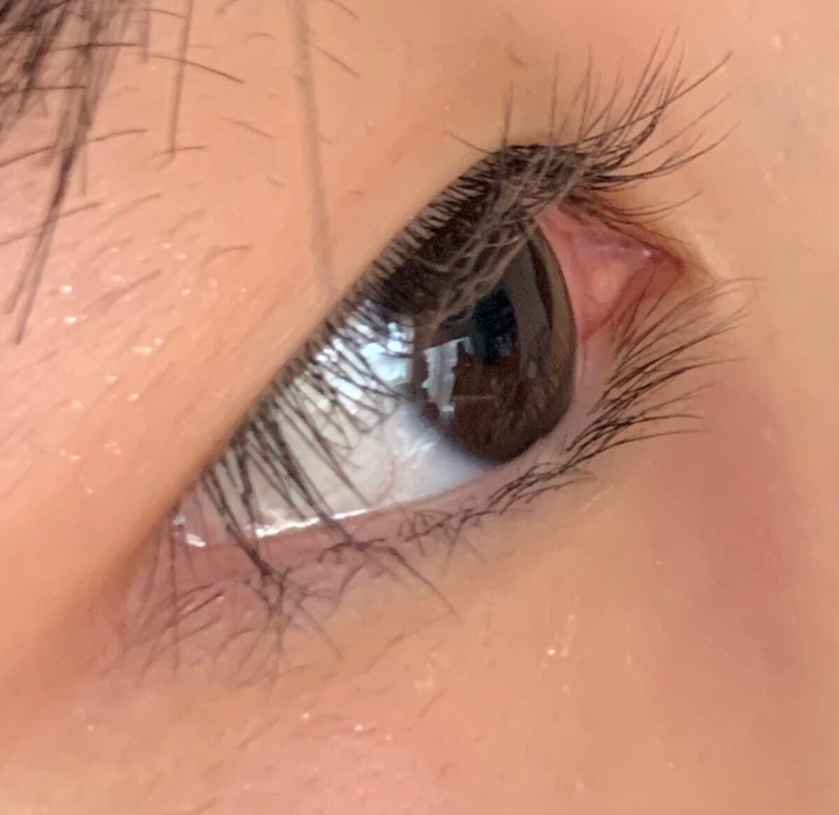 パーマネントカール マスカラ ハイブリッド(ロング)/FASIO/マスカラを使ったクチコミ(3枚目)