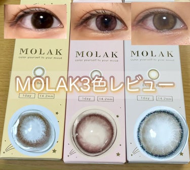 MOLAK 1day/MOLAK/ワンデー（１DAY）カラコンを使ったクチコミ（1枚目）