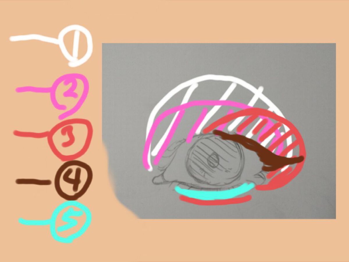 パーフェクトスタイリストアイズ/キャンメイク/アイシャドウパレットを使ったクチコミ（2枚目）