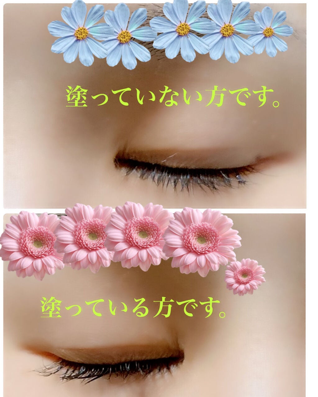 エテュセ アイエディション (マスカラベース)/ettusais/マスカラ下地を使ったクチコミ(3枚目)