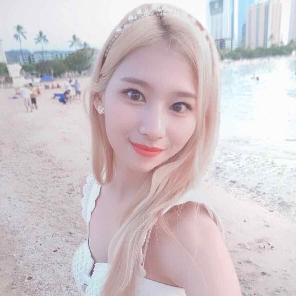 パーフェクトマルチアイズ/キャンメイク/アイシャドウパレットを使ったクチコミ（1枚目）