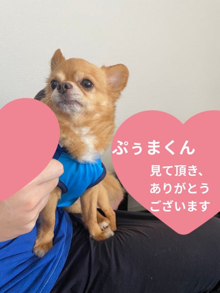 バイタルバランスィングソリューション/V.O.S/美容液を使ったクチコミ(8枚目)