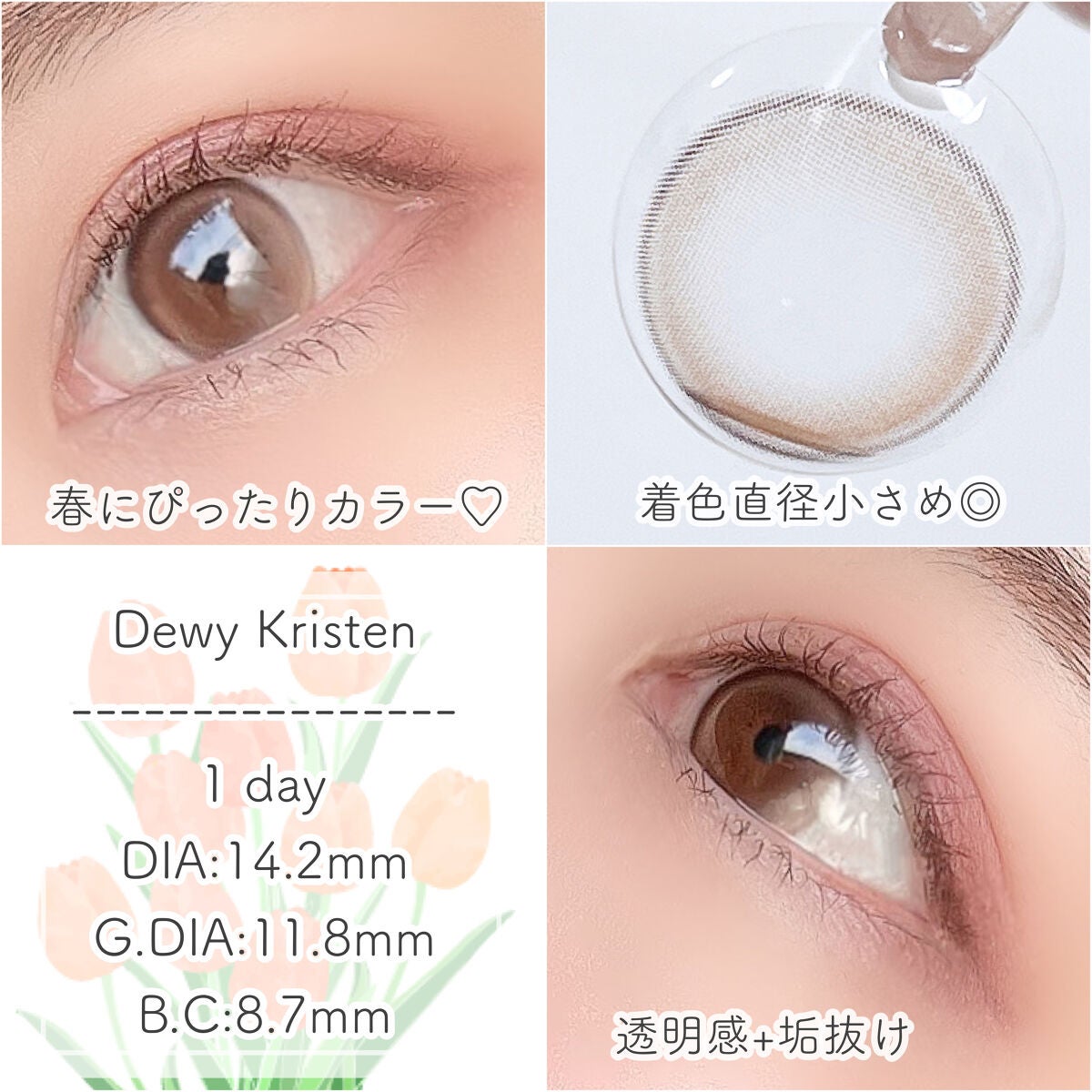 Dewy Kristin Monthly - ブラウン/Hapa kristin/カラーコンタクトレンズを使ったクチコミ(2枚目)
