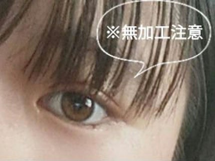 シングルカラーアイシャドウ/CEZANNE/単色アイシャドウを使ったクチコミ(1枚目)