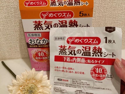 蒸気の温熱シート 下着の内側面に貼るタイプ/めぐりズム/その他を使ったクチコミ(1枚目)