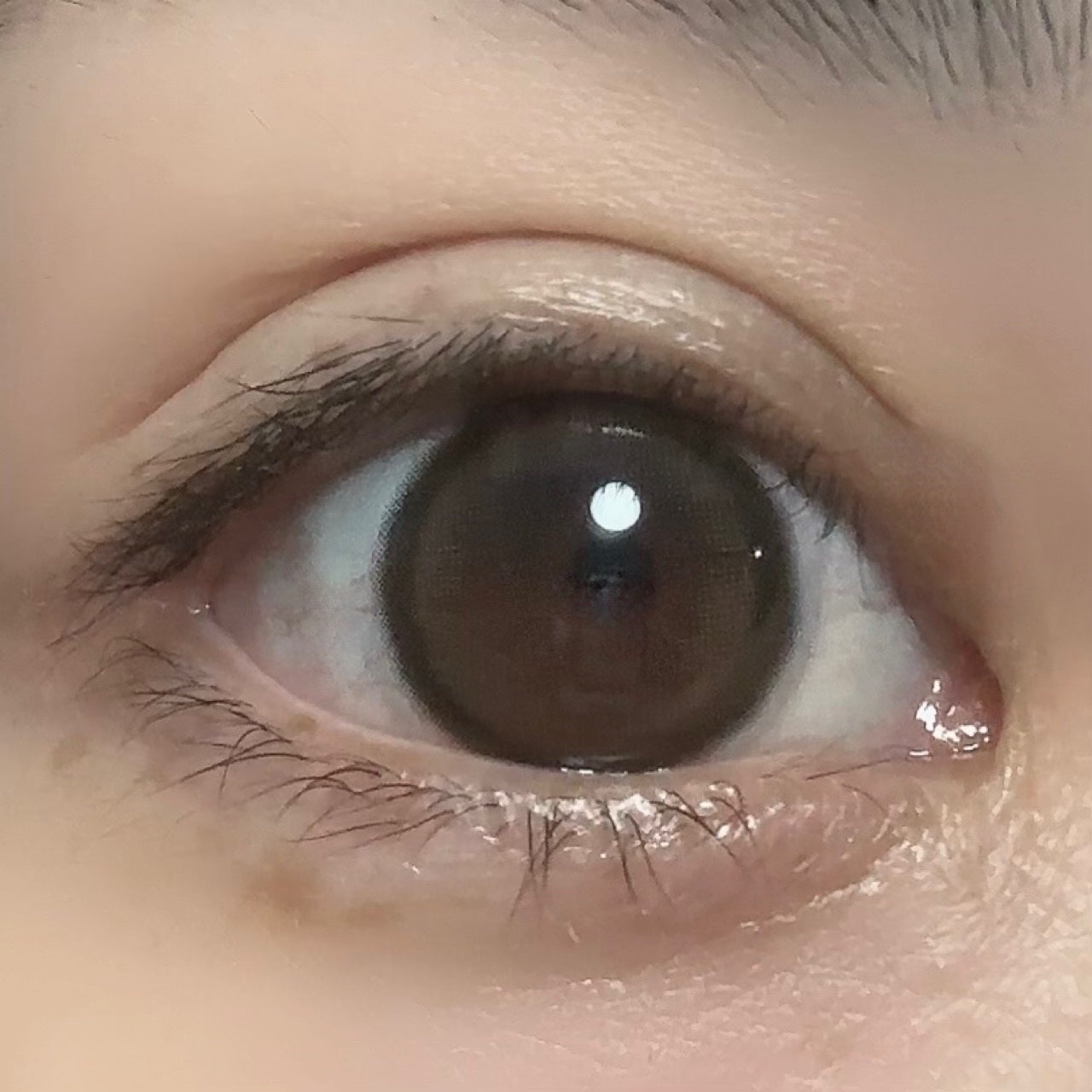 MOLAK 1month/MOLAK/1ヶ月(1MONTH)カラコンを使ったクチコミ(2枚目)