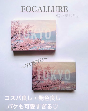 GO TRAVEL 15色アイシャドウパレット 07 トーキョー(hi Tokyo)/FOCALLURE/アイシャドウパレットを使ったクチコミ（1枚目）