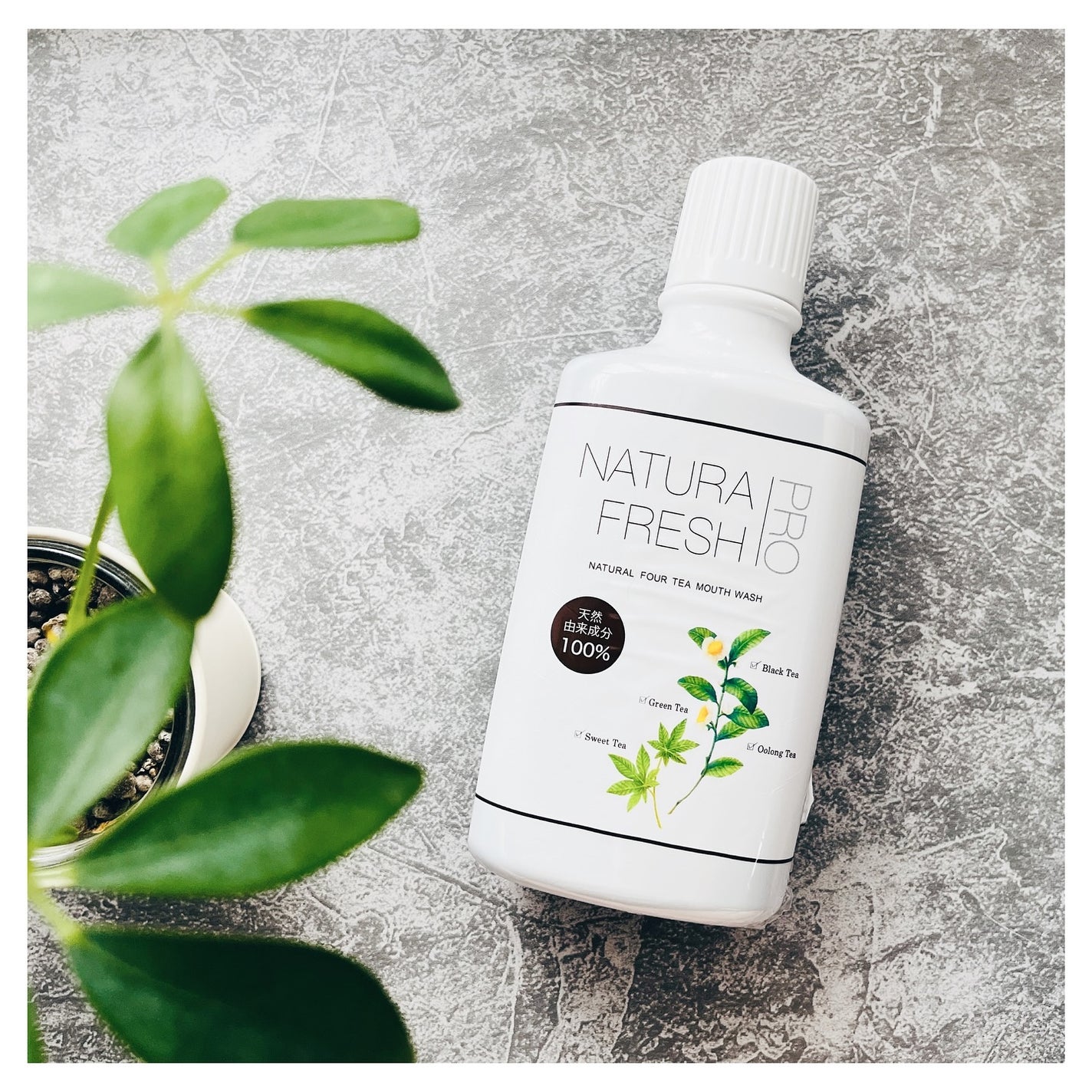 NATURA FRESH PRO/Dr. Choi's Solution/マウスウォッシュ・スプレーを使ったクチコミ(1枚目)