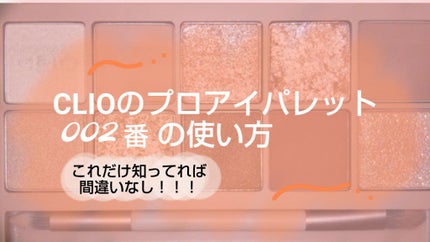 プロ アイ パレット/CLIO/アイシャドウパレットを使ったクチコミ(1枚目)