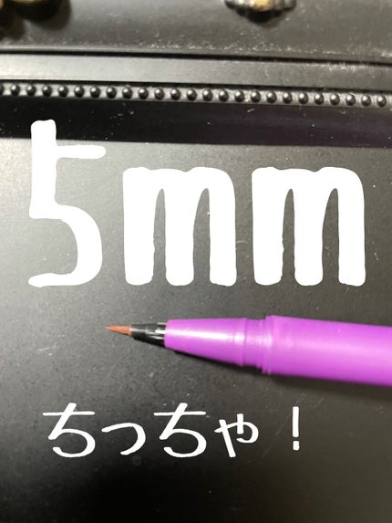 「密着アイライナー」ショート筆リキッド/デジャヴュ/リキッドアイライナーを使ったクチコミ(2枚目)