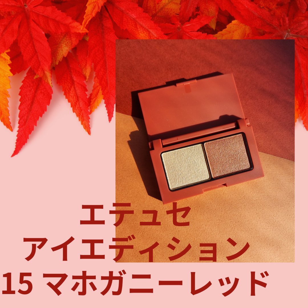 エテュセ アイエディション(カラーパレット)/ettusais/アイシャドウパレットを使ったクチコミ（1枚目）