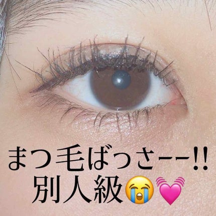 ラッシュエキスパンダー ロングロングロング/MAJOLICA MAJORCA/マスカラを使ったクチコミ(4枚目)