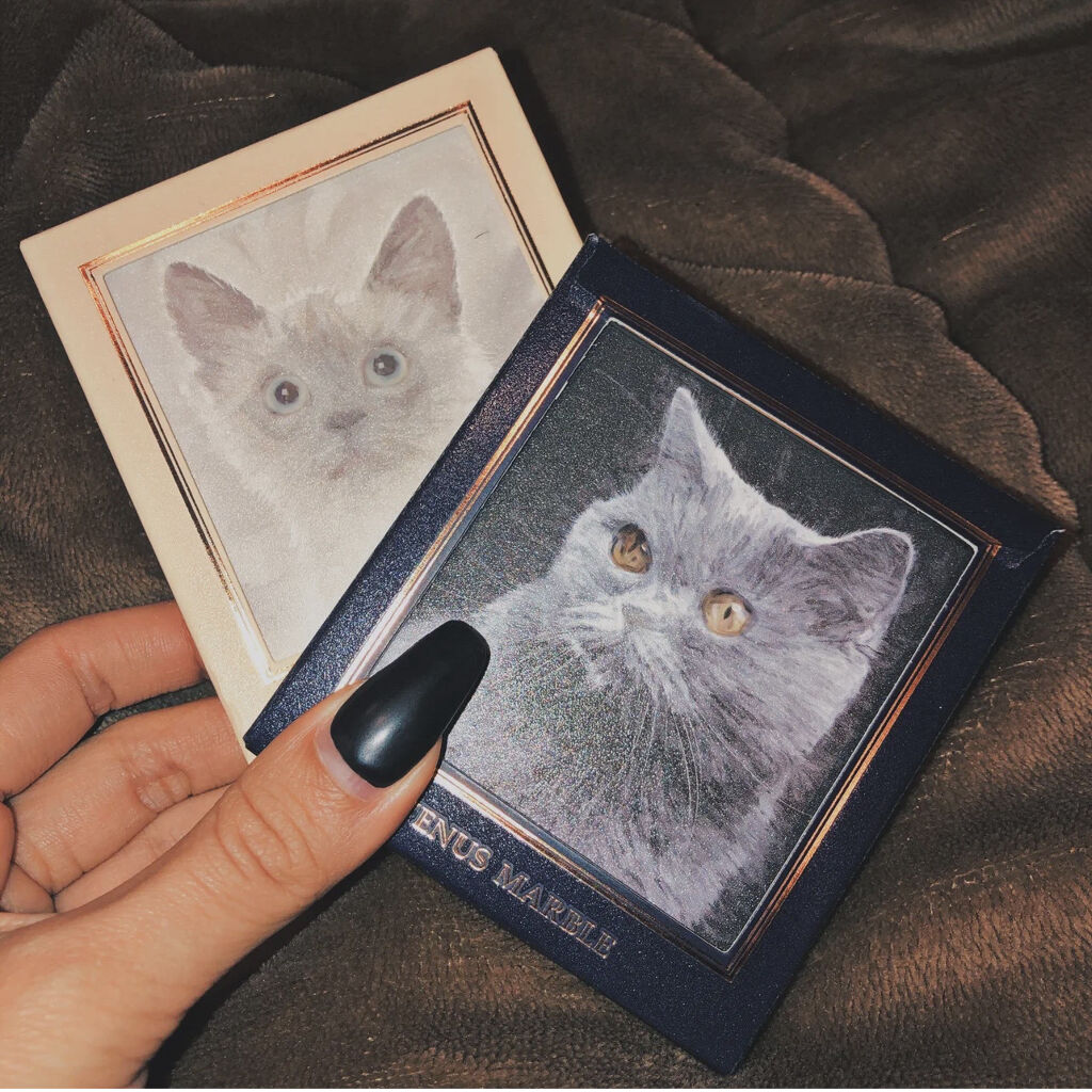 Venus Marble アイシャドウキャットシリーズ/Venus Marble/アイシャドウパレットを使ったクチコミ（2枚目）