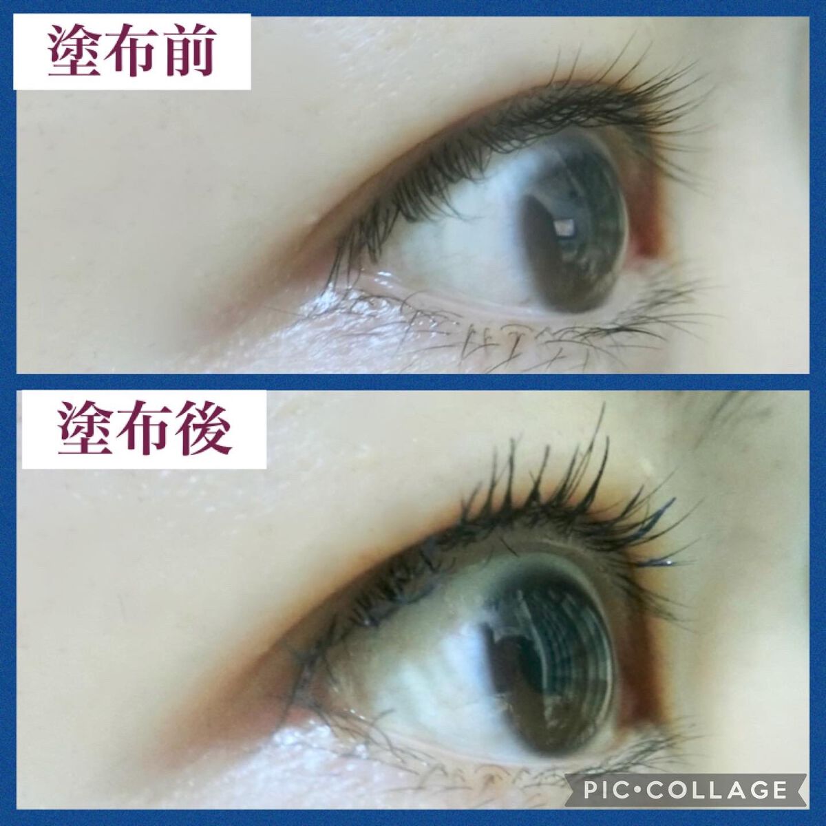 ザ マスカラ ベース/ANNA SUI/マスカラ下地を使ったクチコミ(4枚目)