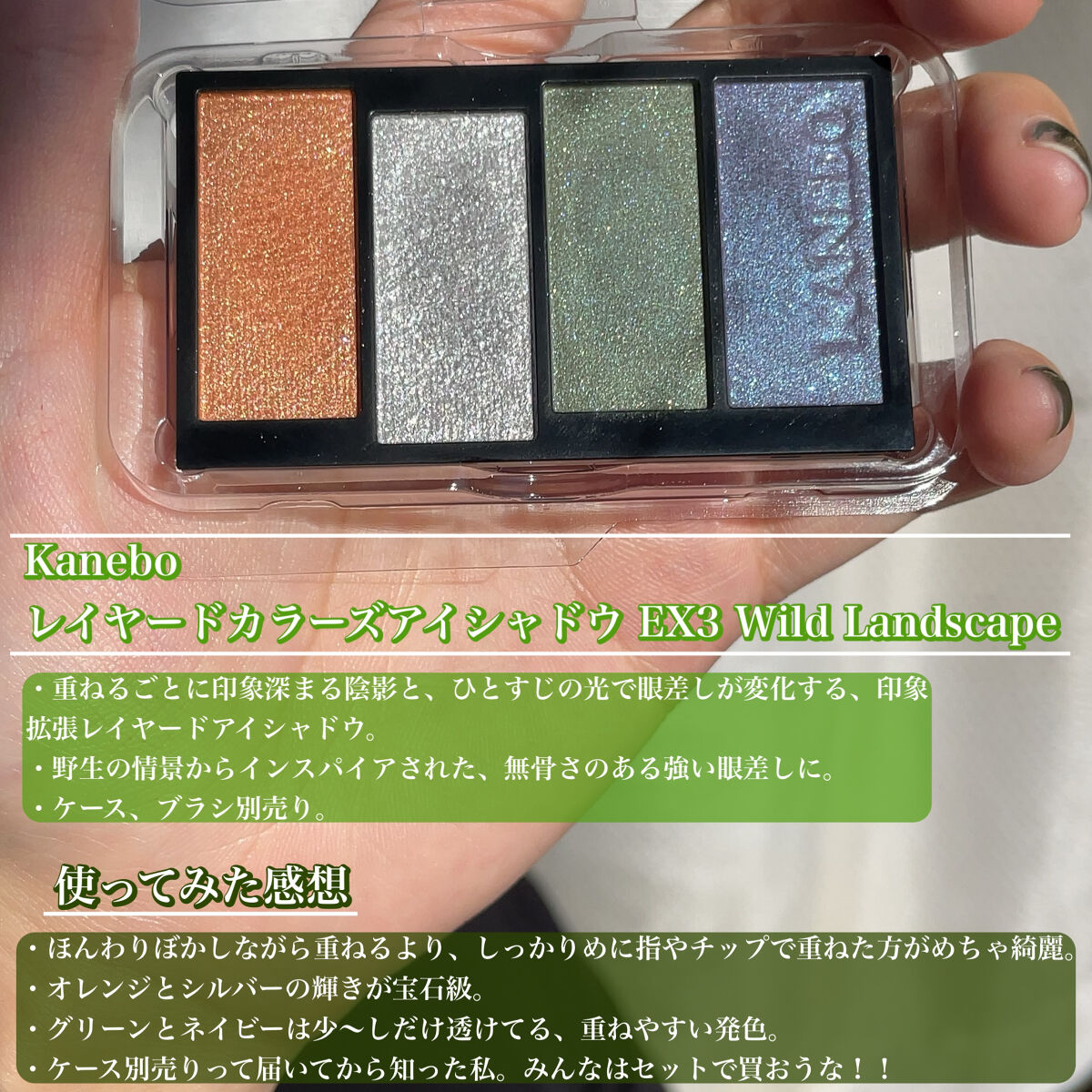 レイヤードカラーズアイシャドウ EX3 Wild Landscape（限定）/KANEBO/アイシャドウパレットを使ったクチコミ（2枚目）