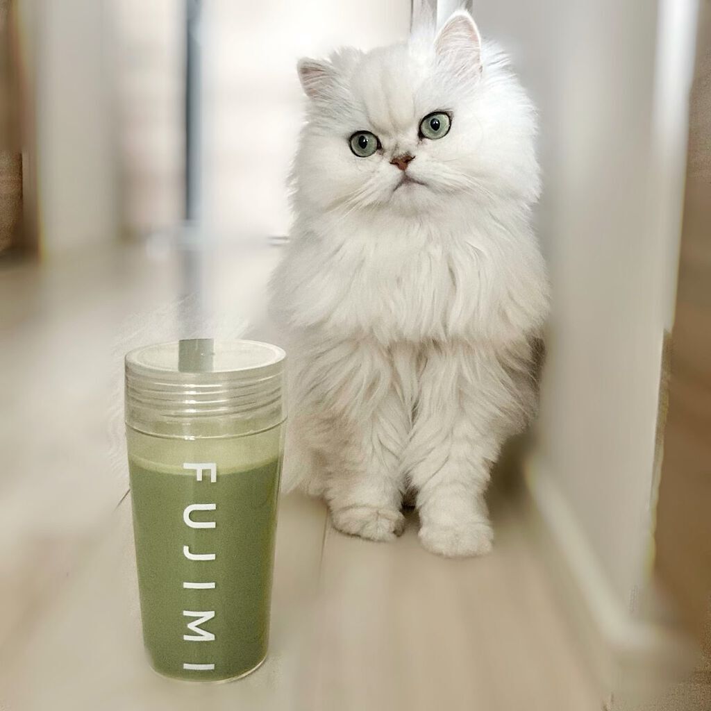 FUJIMI パーソナライズプロテイン/FUJIMI/ホエイプロテインを使ったクチコミ(2枚目)