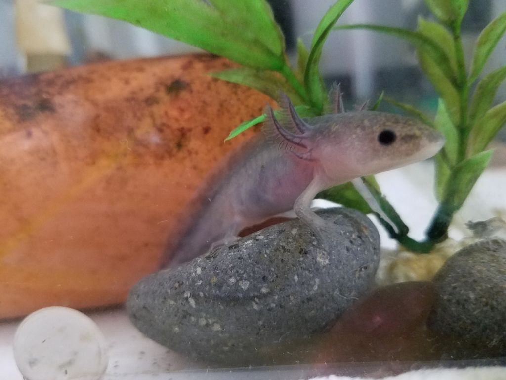 自己紹介/雑談/その他を使ったクチコミ（1枚目）