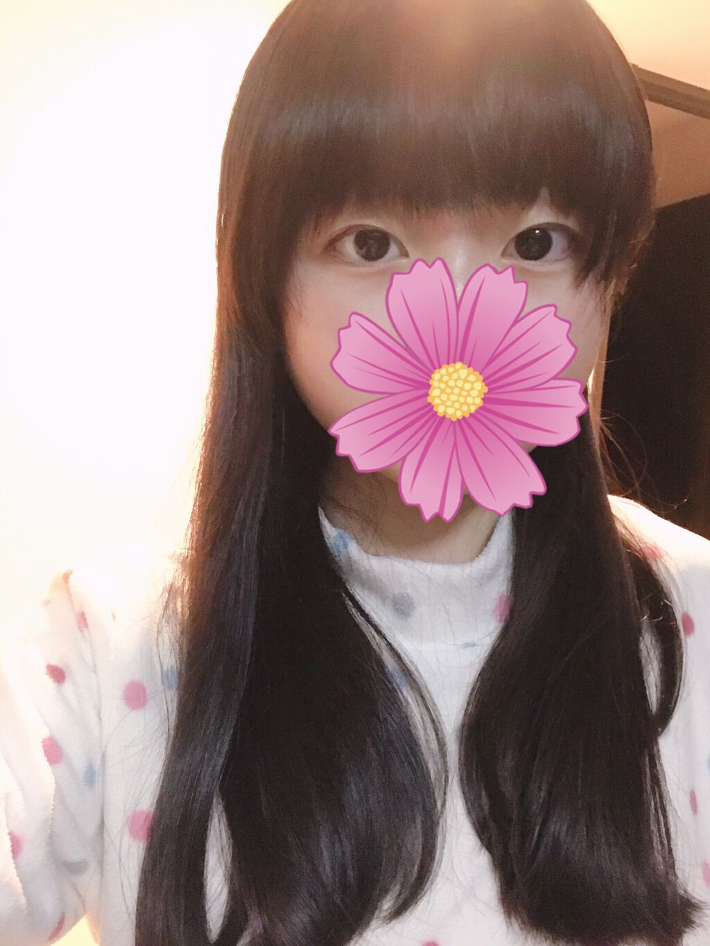 シャンプー／ヘアコンディショナー 軽やかさらさら(サラの香り)/SALA/市販シャンプーを使ったクチコミ（1枚目）