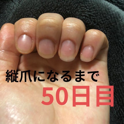 ã䜿ã£ãã¯ãã³ãïŒ1æç®ïŒ