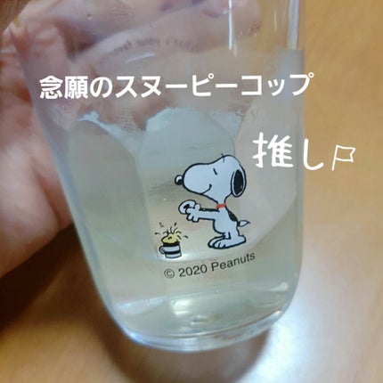 ã¢ã€ã¹ãã¥ã¢ã©ã€ãžã³ã° ãã¡ã³ããŒã·ã§ã³ ãã©ã€ã㌠S/PAUL & JOE BEAUTE/åç²§äžå°ã䜿ã£ãã¯ãã³ãïŒ5æç®ïŒ