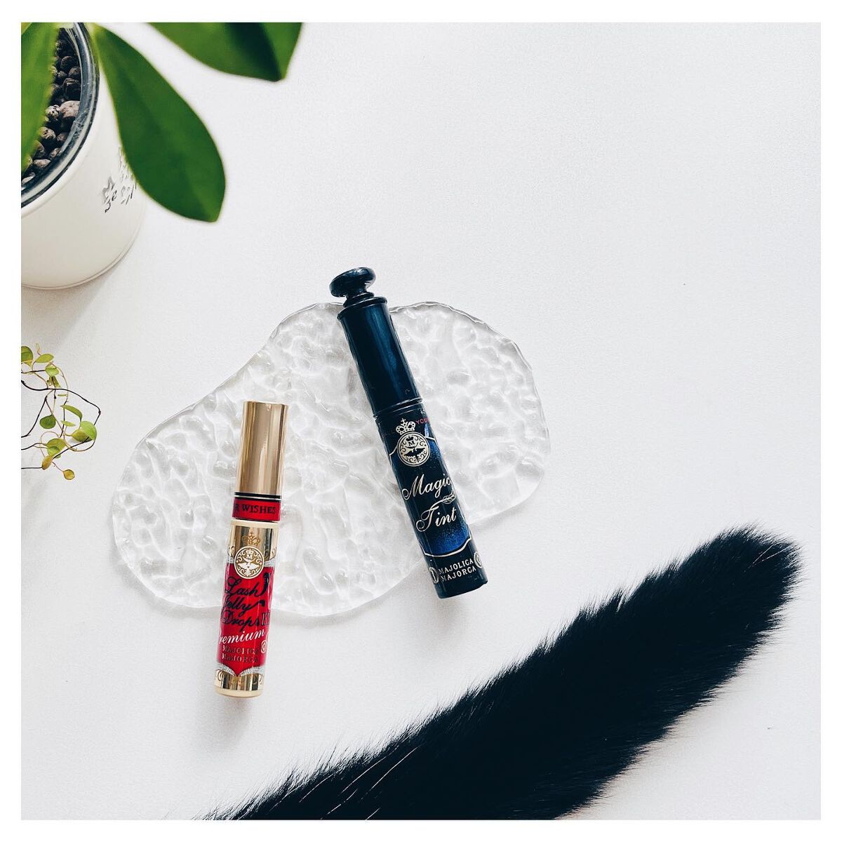 ラッシュティント/MAJOLICA MAJORCA/マスカラを使ったクチコミ(1枚目)