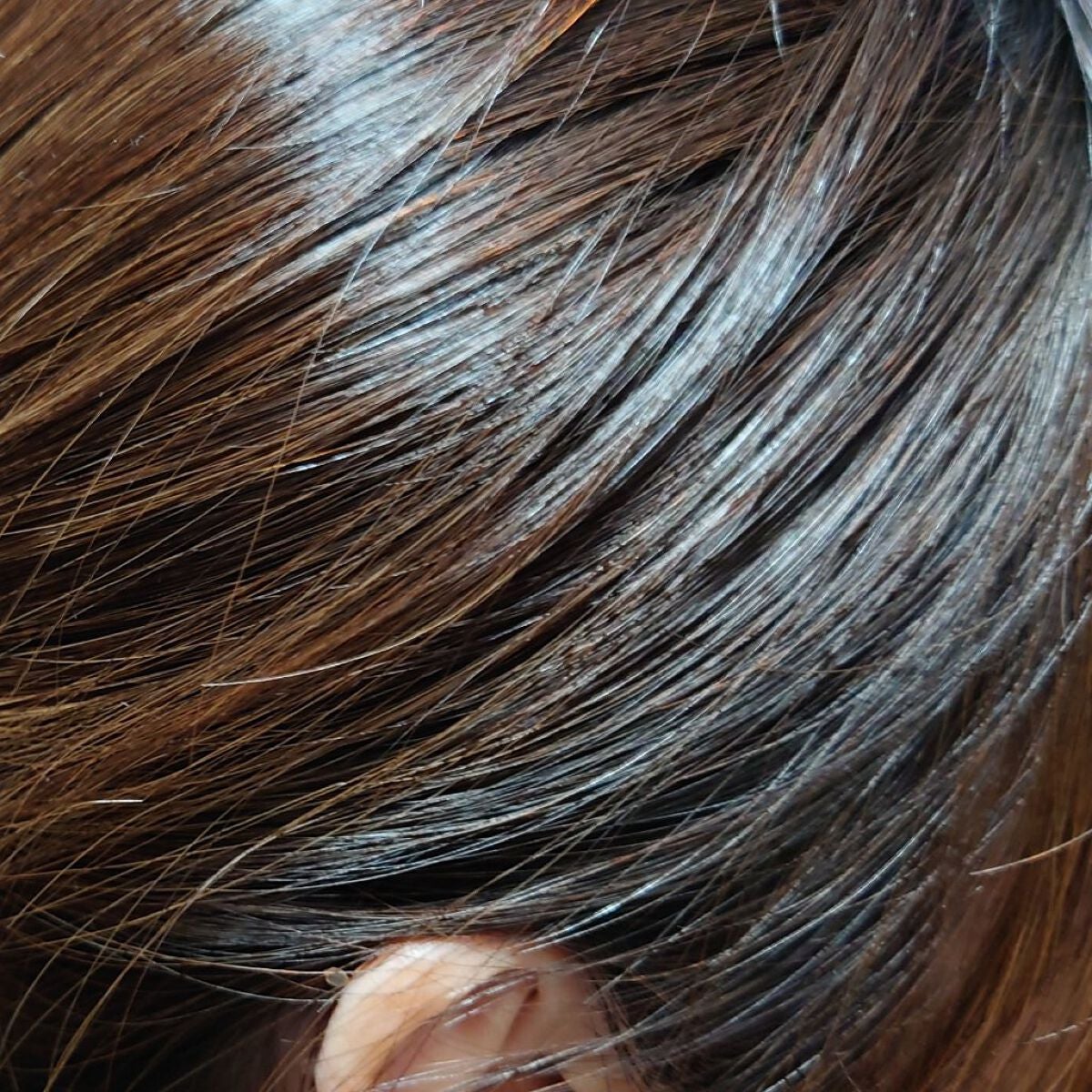 エッセンシャル プレミアム ウォータートリートメント EXスムース/エッセンシャル/アウトバストリートメントを使ったクチコミ(4枚目)