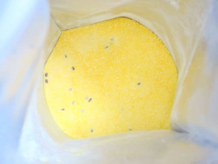 フルーツビネガーダイエット/Vineto/美容サプリメントを使ったクチコミ(2枚目)