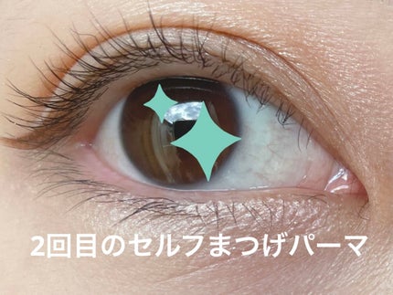 セルフまつ毛パーマキット/シルキーロールズ/その他キットセットを使ったクチコミ(2枚目)