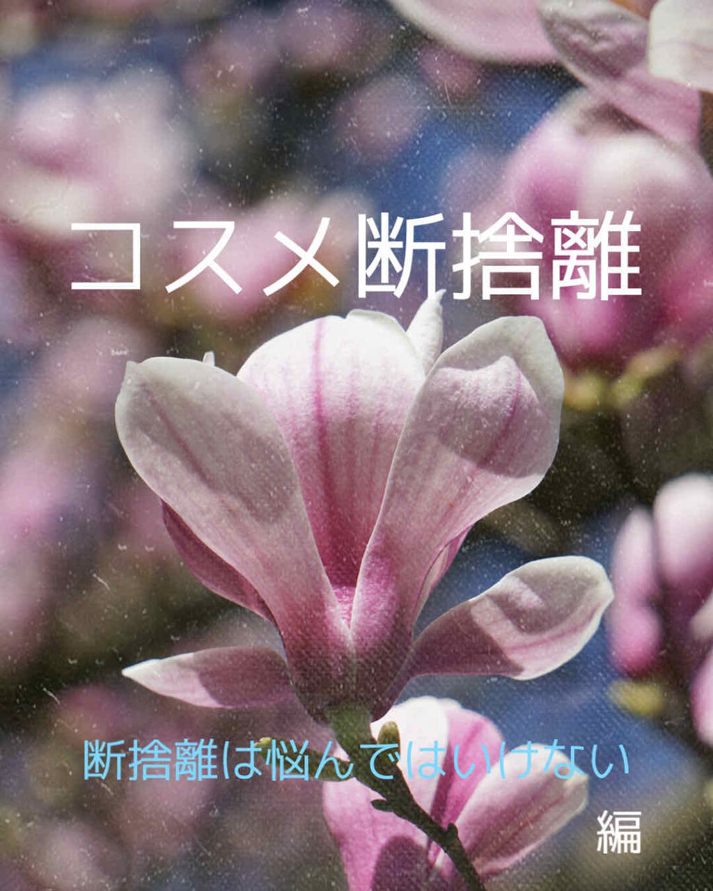 UVフェイスプロテクター50/RMK/日焼け止めクリームを使ったクチコミ（1枚目）