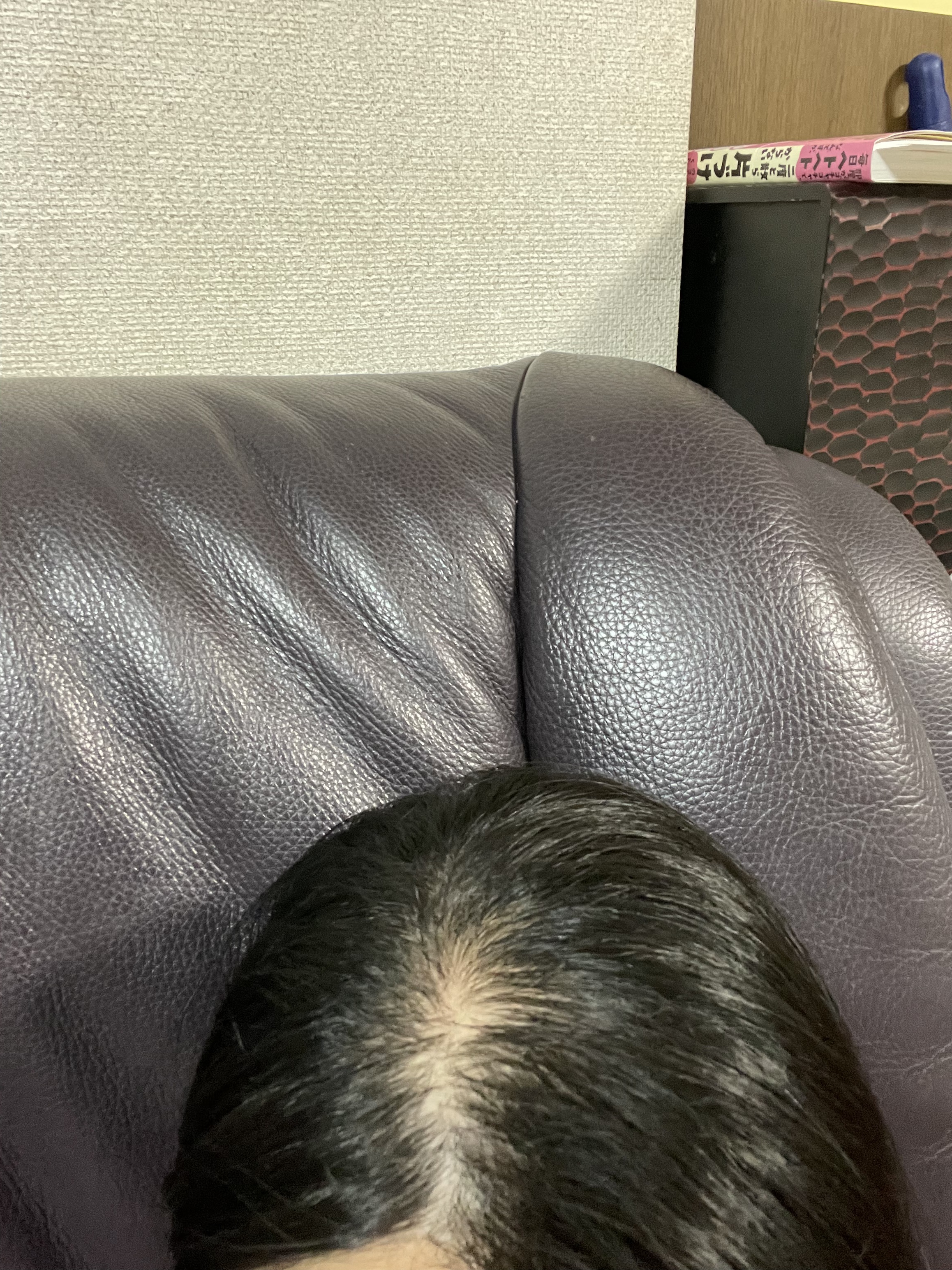 SonoRepro/アンファー(スカルプD)/ヘアケアグッズを使ったクチコミ（2枚目）