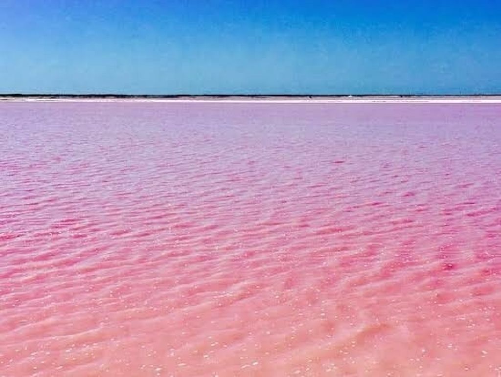 オリジナル ピュアスキンジェリー/ヴァセリン/ボディクリームを使ったクチコミ(1枚目)