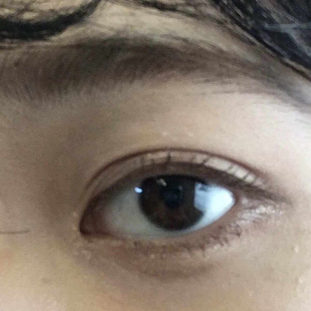 ＵＧＴ アイブロウパウダーｂ 02 ソフトブラウン/U R GLAM/パウダーアイブロウを使ったクチコミ（1枚目）