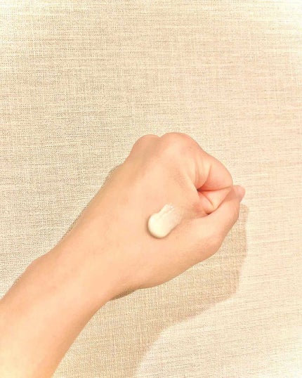 ドクタージャルト シカペア クリーム (第2世代)/Dr.Jart+/フェイスクリームを使ったクチコミ(2枚目)