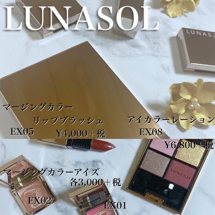 デザイニング カラー アイズ/SUQQU/アイシャドウパレットを使ったクチコミ(4枚目)