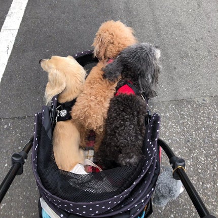 を使ったクチコミ(3枚目)