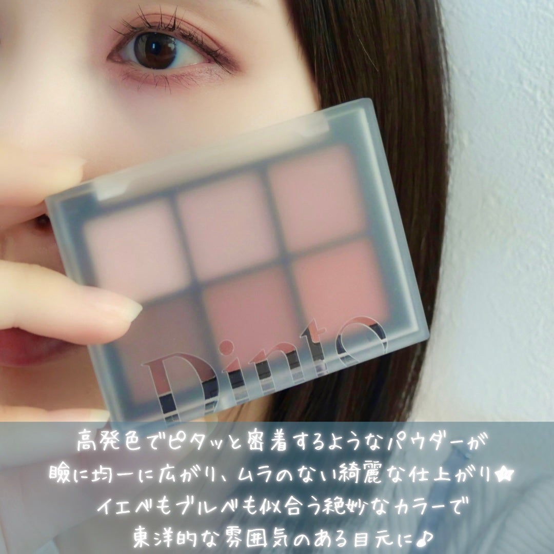 ブラーフィニシュシャドウパレット/Dinto/アイシャドウパレットを使ったクチコミ(9枚目)