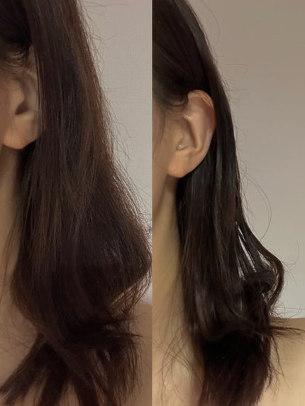 を使ったクチコミ(1枚目)