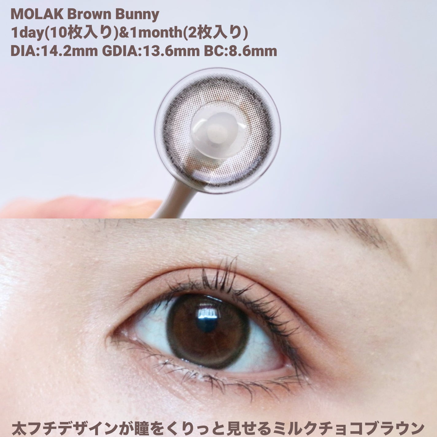 MOLAK 1day/MOLAK/ワンデー(1DAY)カラコンを使ったクチコミ(2枚目)