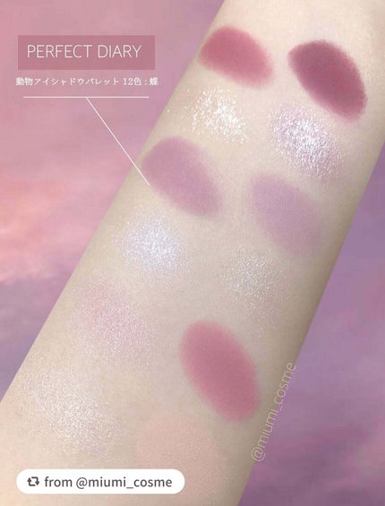 エクスプローラ12色 動物アイシャドウパレット/PERFECT DIARY/アイシャドウパレットを使ったクチコミ(3枚目)